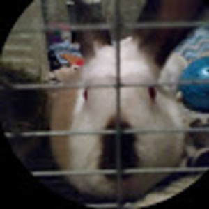 Meet your Posher, Jillian